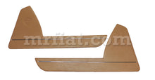 Load image into Gallery viewer, Volvo P1800 Gold Lower Door Panel Set 1970-71 Doors Volvo