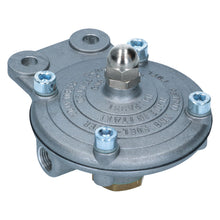 Load image into Gallery viewer, Volkswagen Beetle Fuel Pressure Regulator Adjustable 'Filter King' Fuel System Volkswagen