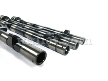 Load image into Gallery viewer, Ferrari 208 308 GT4 GTB GTS Fast Road Camshaft Set Drilled Engine Ferrari
