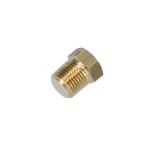 Load image into Gallery viewer, Volkswagen Karmann Ghia Blanking Plug Adapter Fuel Pressure Gauge Filter Fuel System Volkswagen
