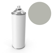 Load image into Gallery viewer, Volkswagen Type 4 Spraycan L345 Light Grey 355ml Maintenance Volkswagen
