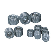 Load image into Gallery viewer, Volkswagen Bus Oil Gallay Plug Set (12) Engine Block Volkswagen
