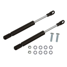 Cargar imagen en el visor de la galería, Volkswagen Beetle Gas Strut Front Hood Volkswagen

