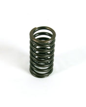 Cargar imagen en el visor de la galería, Fiat 500 Exhaust Valve Spring Engine Fiat
