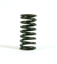 Cargar imagen en el visor de la galería, Fiat 500 Exhaust Valve Spring Engine Fiat
