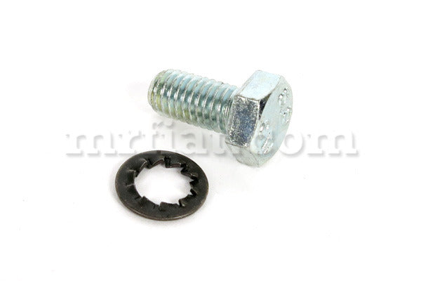 Fiat 500 F/L/R Door Hinge Screw Doors Fiat   