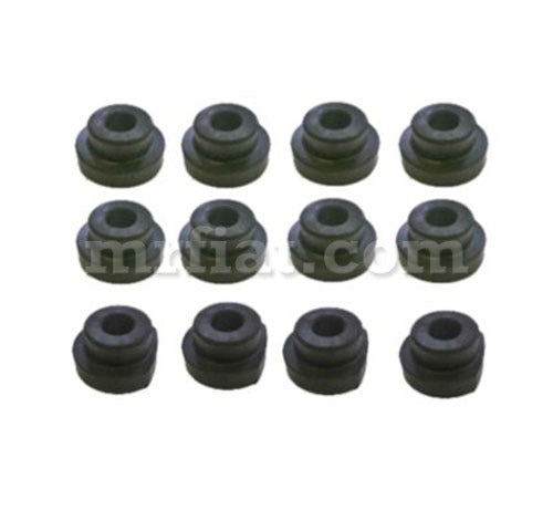 Lancia Flavia Convertible Chassis Rubber Mount Kit 12 Pcs Flavia Convertibile Vignale Lancia   