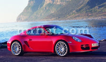 Cargar imagen en el visor de la galería, Porsche Boxster Cayman Type 981 982 986 987 Wheel 11X19 Style 367 Rims Porsche
