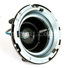 Load image into Gallery viewer, Alfa Romeo Round Tail Spider Headlamp Housing  Removable Cover Lights Alfa Romeo   
